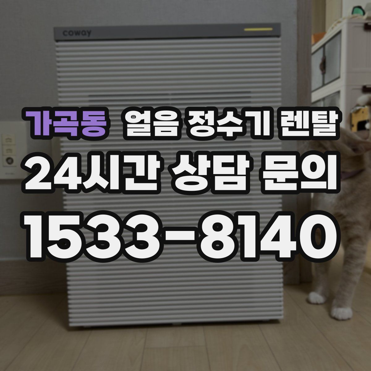 가곡동 얼음 정수기 렌탈