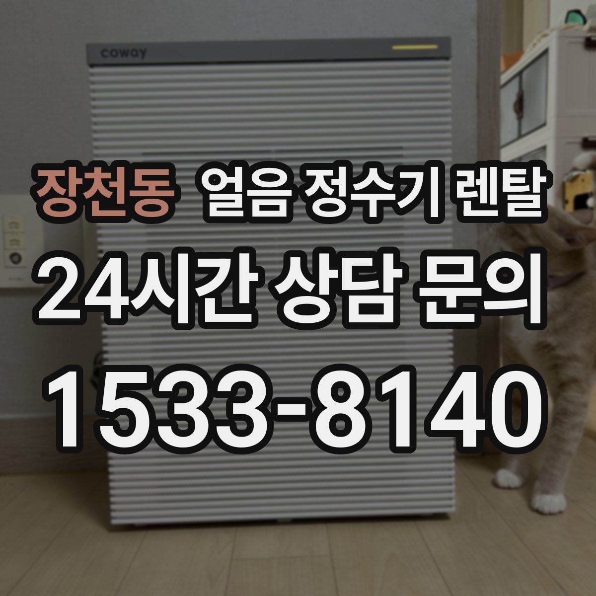 장천동 얼음 정수기 렌탈