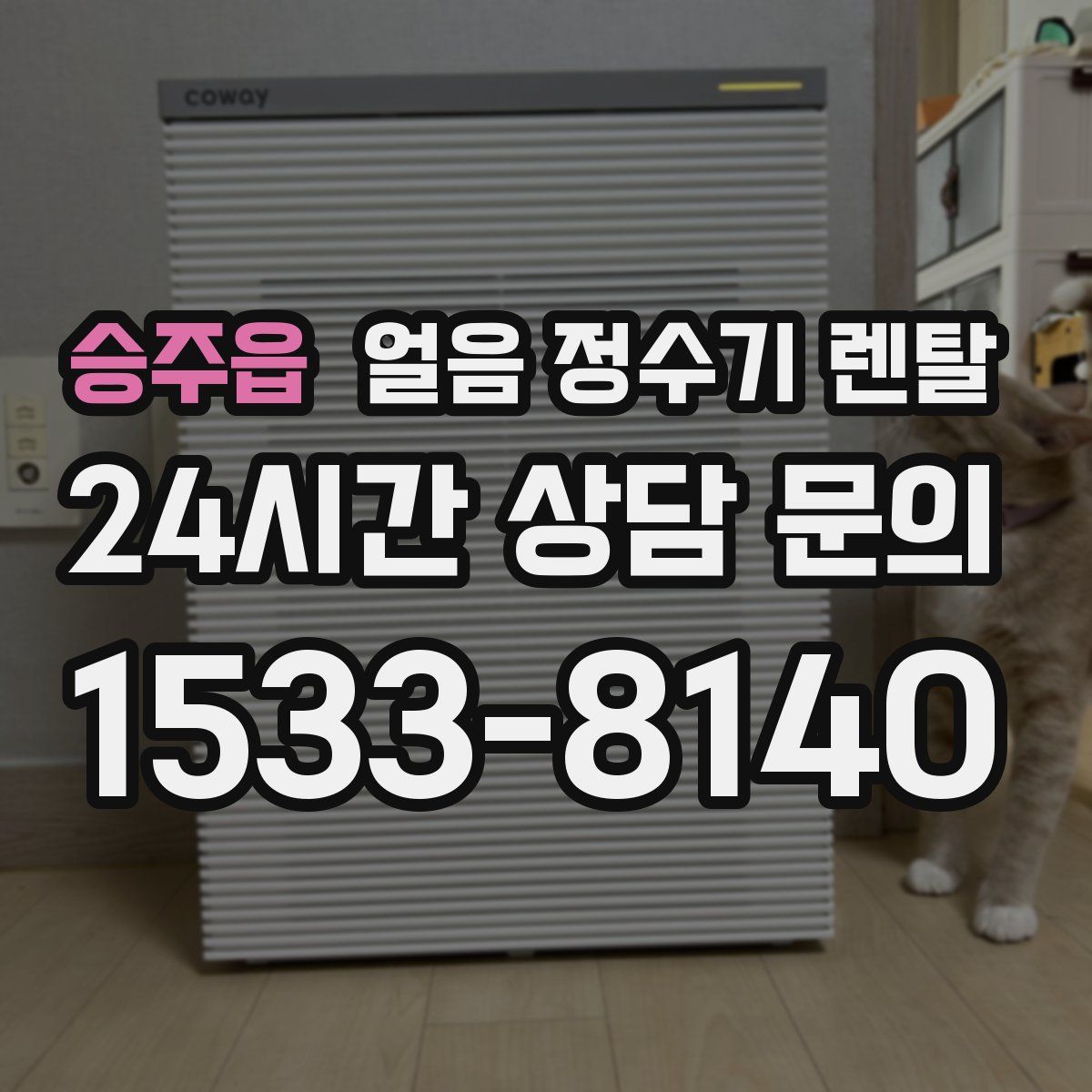 승주읍 얼음 정수기 렌탈