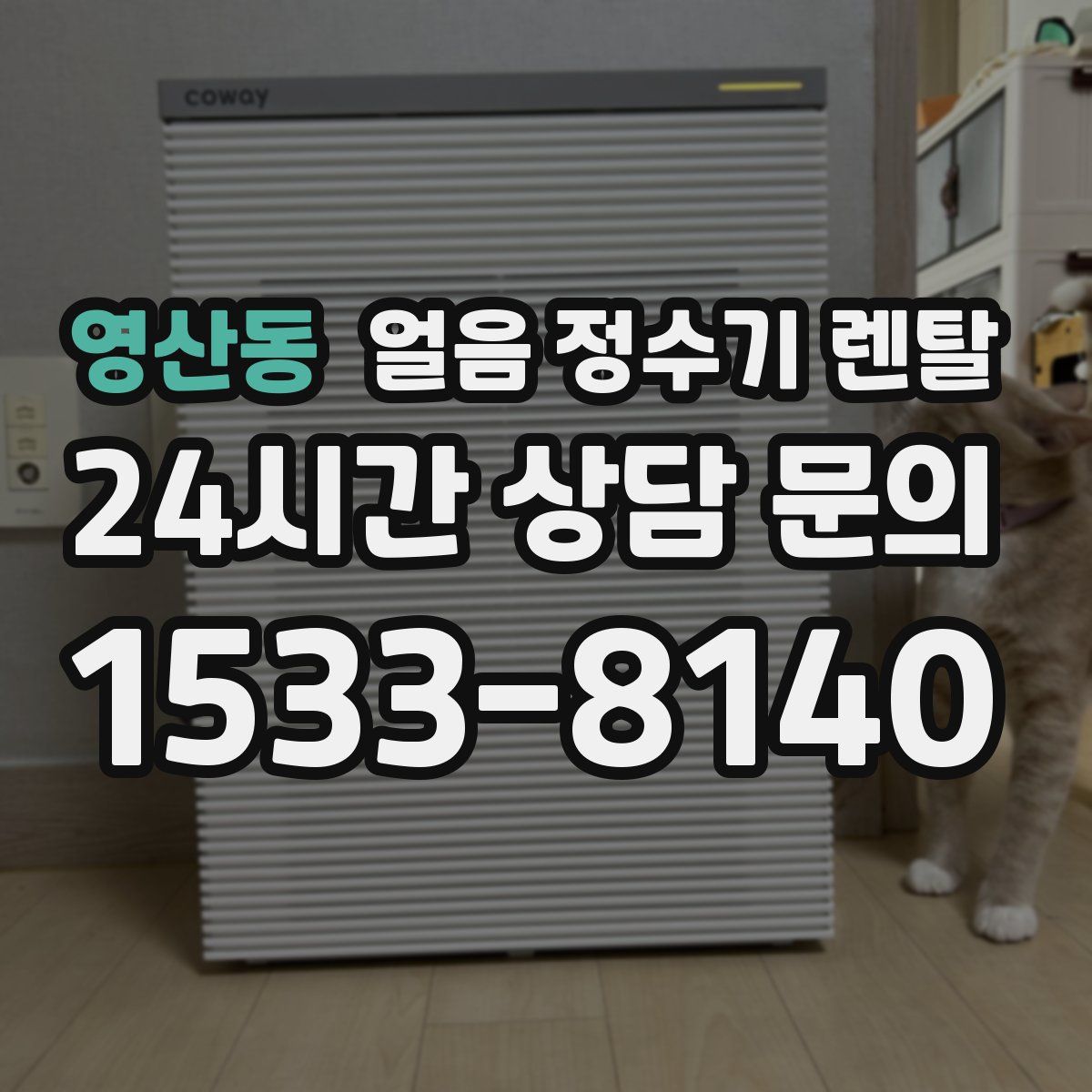 영산동 얼음 정수기 렌탈