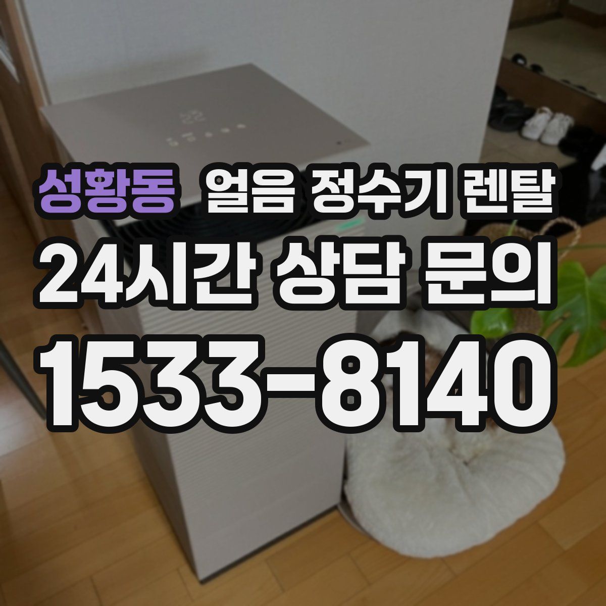 성황동 얼음 정수기 렌탈