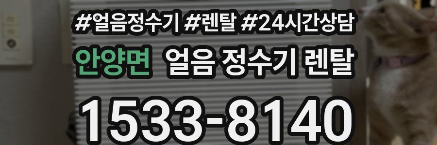 안양면 얼음 정수기 렌탈