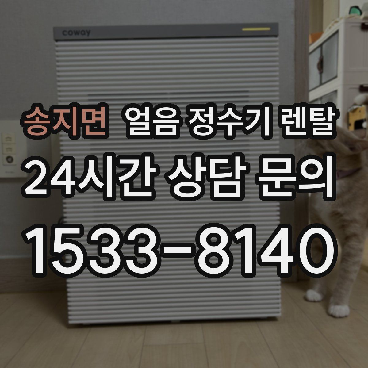 송지면 얼음 정수기 렌탈