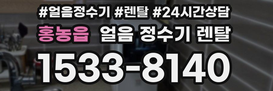 홍농읍 얼음 정수기 렌탈