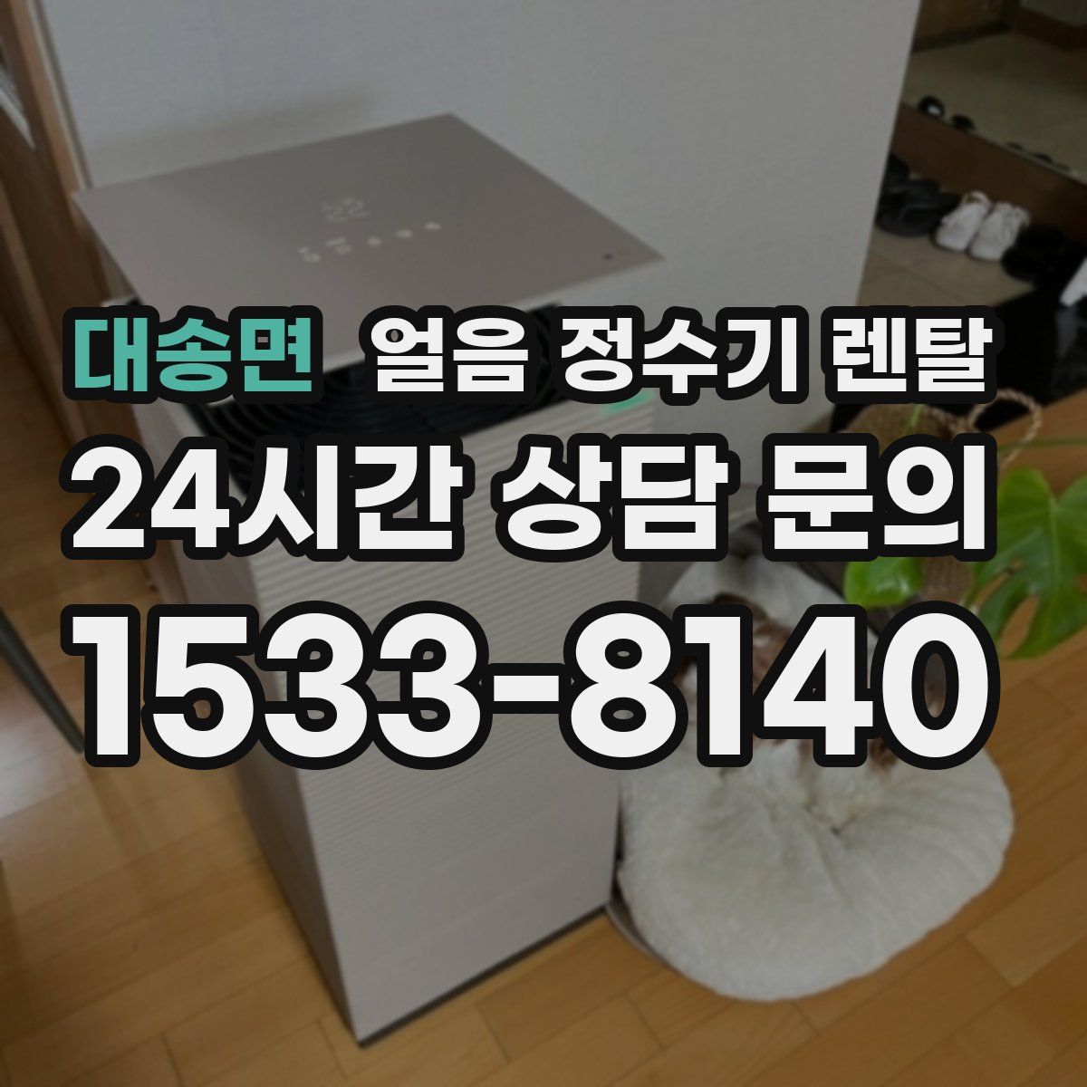 대송면 얼음 정수기 렌탈