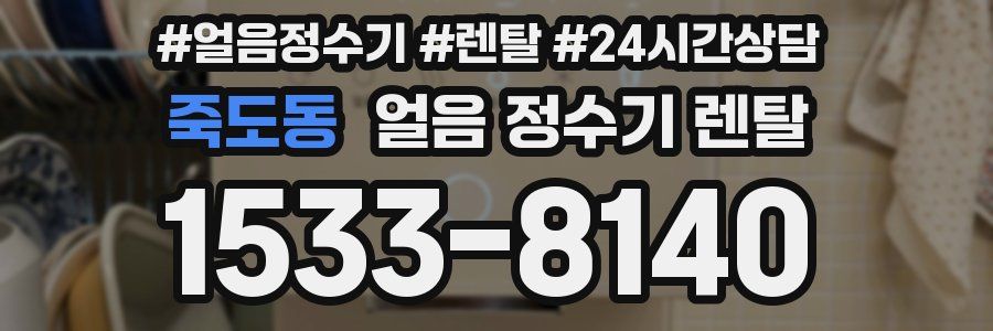 죽도동 얼음 정수기 렌탈