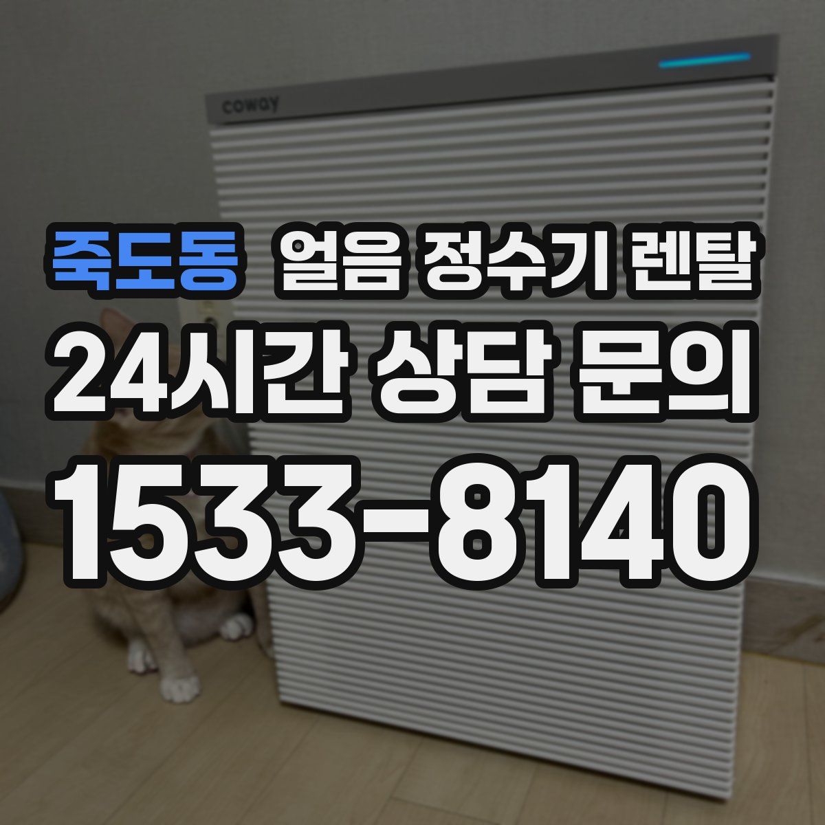 죽도동 얼음 정수기 렌탈