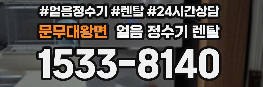 문무대왕면 얼음 정수기 렌탈