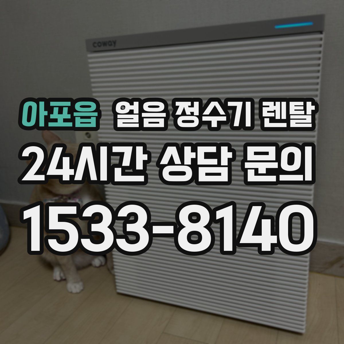 아포읍 얼음 정수기 렌탈