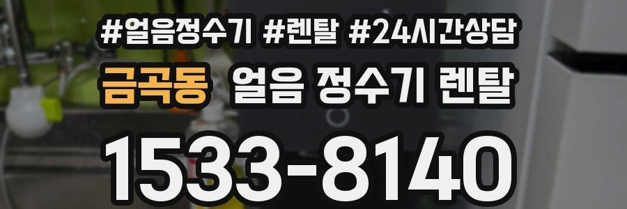 금곡동 얼음 정수기 렌탈