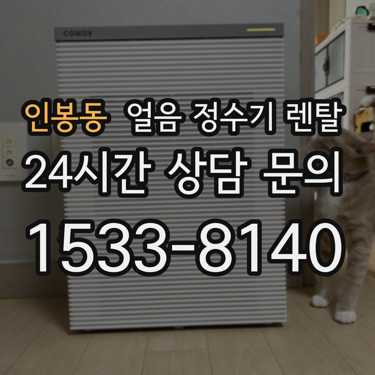 인봉동 얼음 정수기 렌탈