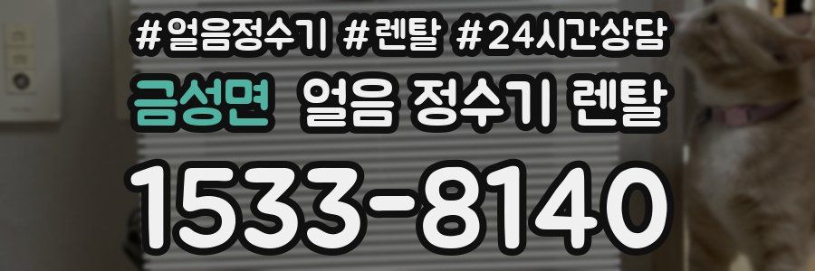 금성면 얼음 정수기 렌탈