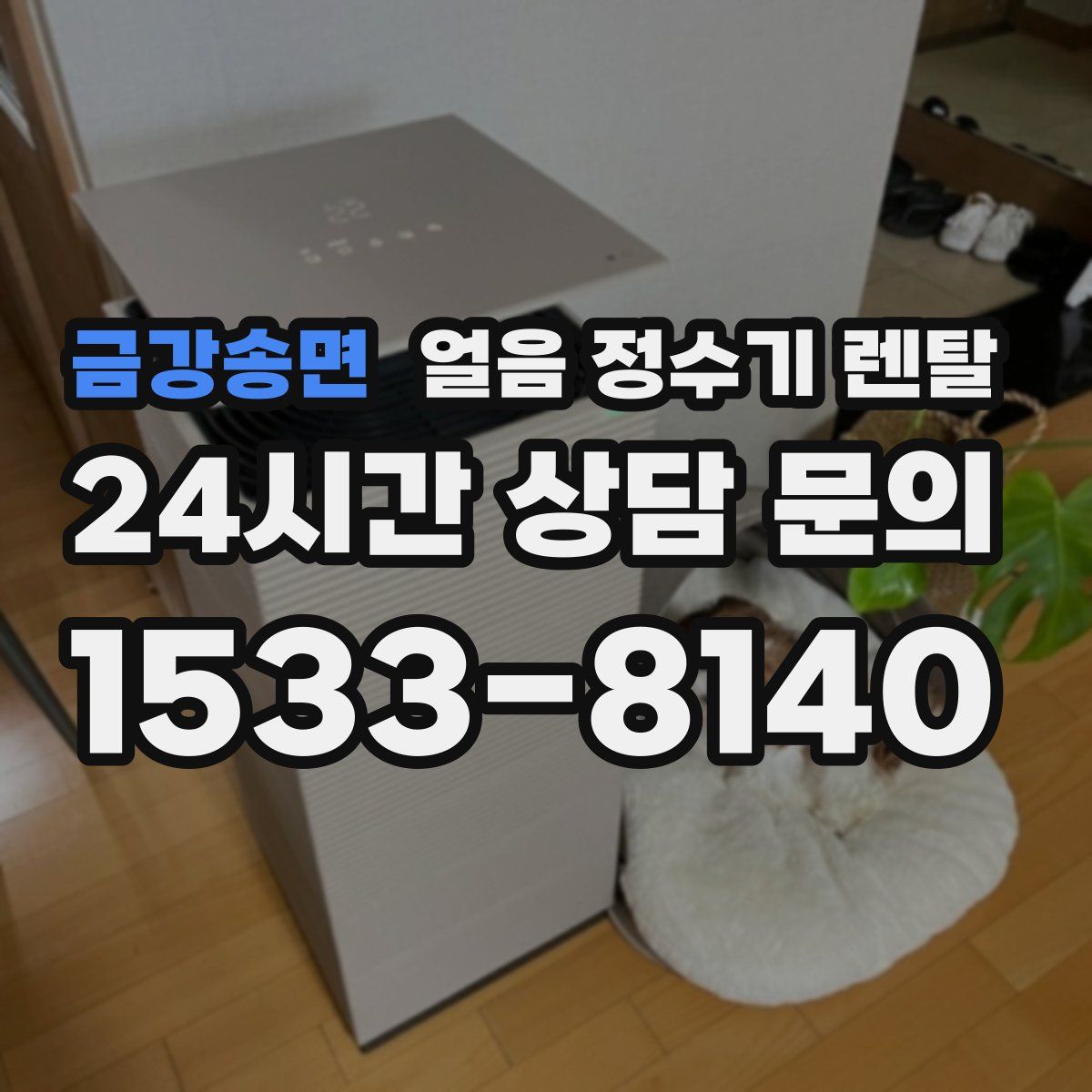 금강송면 얼음 정수기 렌탈