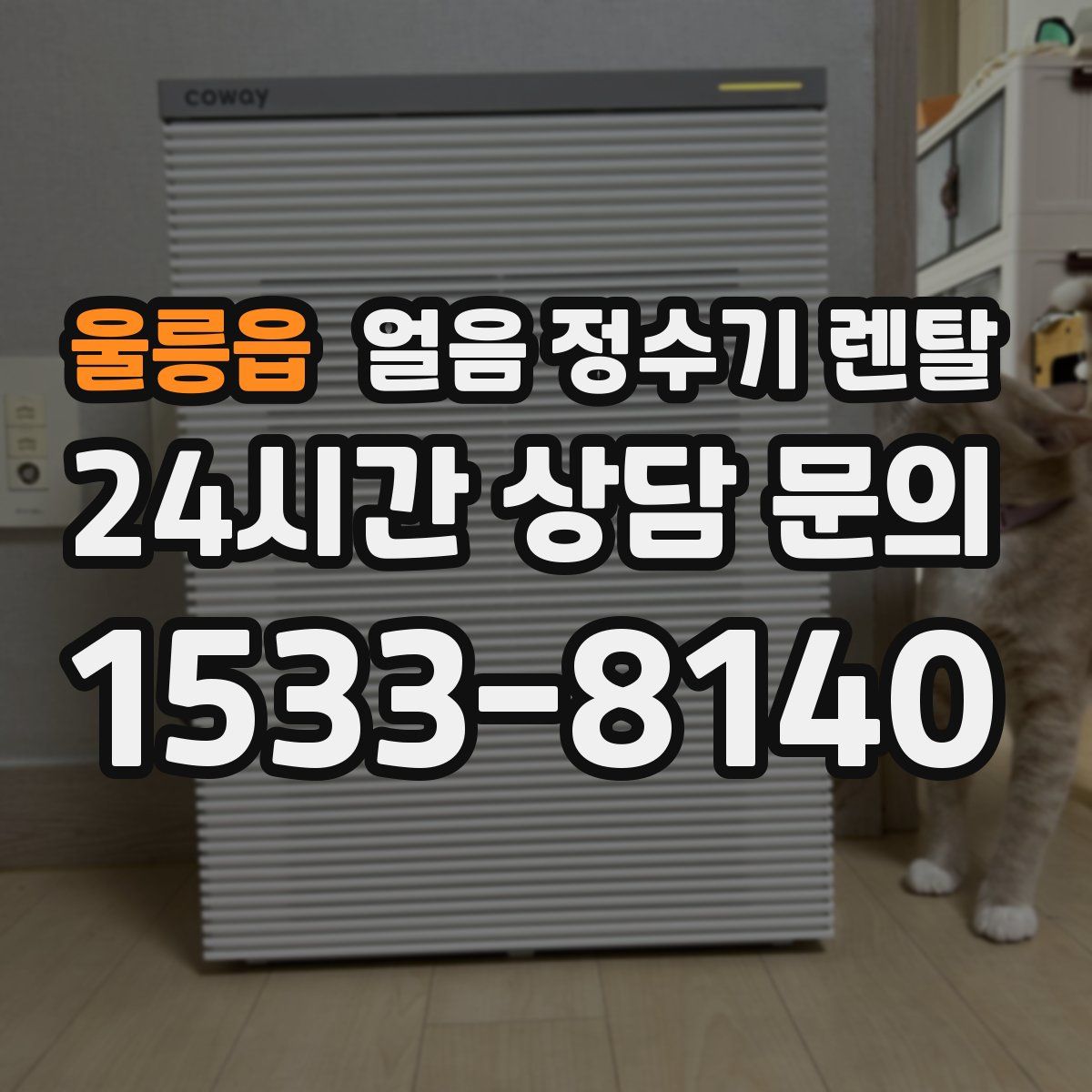 울릉읍 얼음 정수기 렌탈