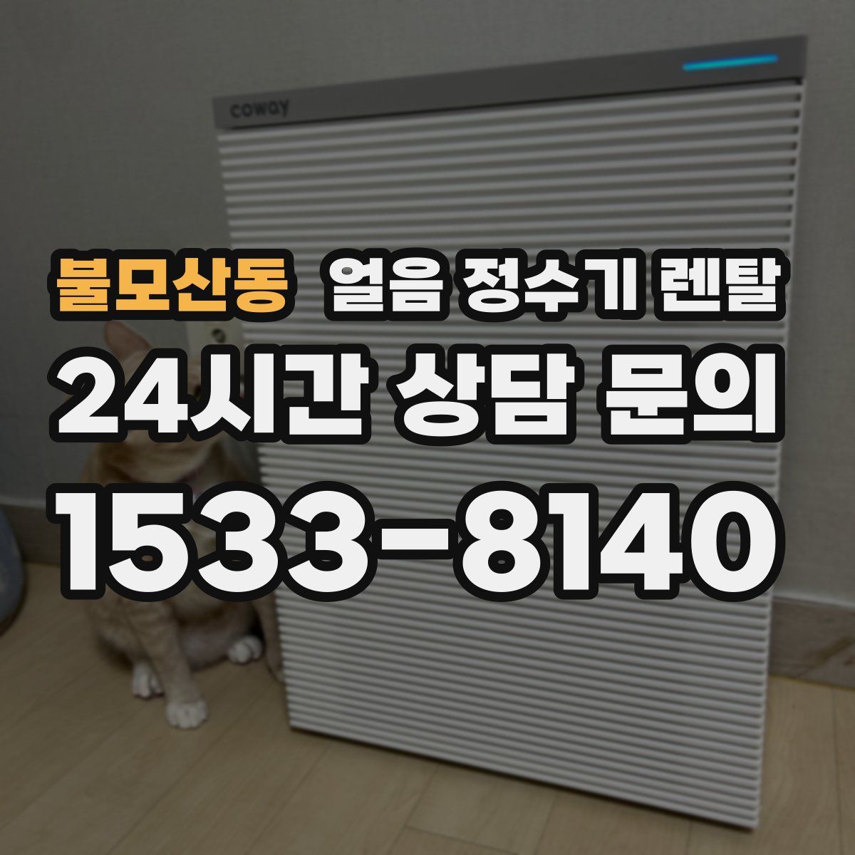 불모산동 얼음 정수기 렌탈