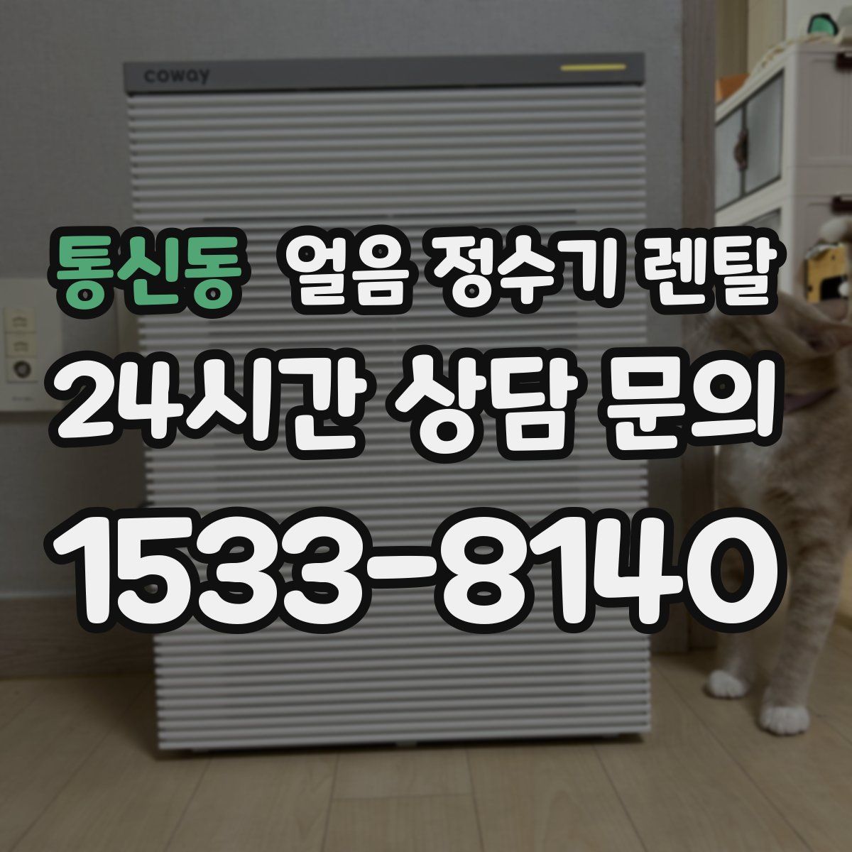 통신동 얼음 정수기 렌탈