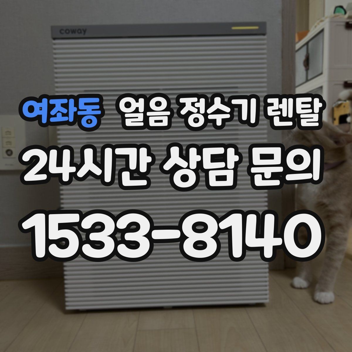 여좌동 얼음 정수기 렌탈 제빙부 습기 관리가 중요한 이유