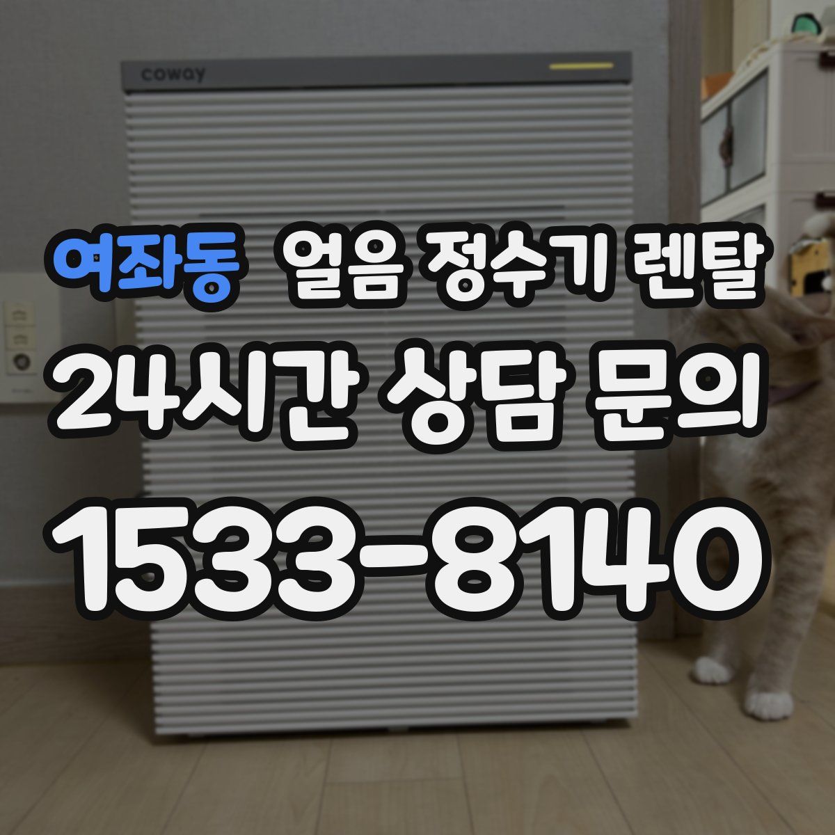 여좌동 얼음 정수기 렌탈