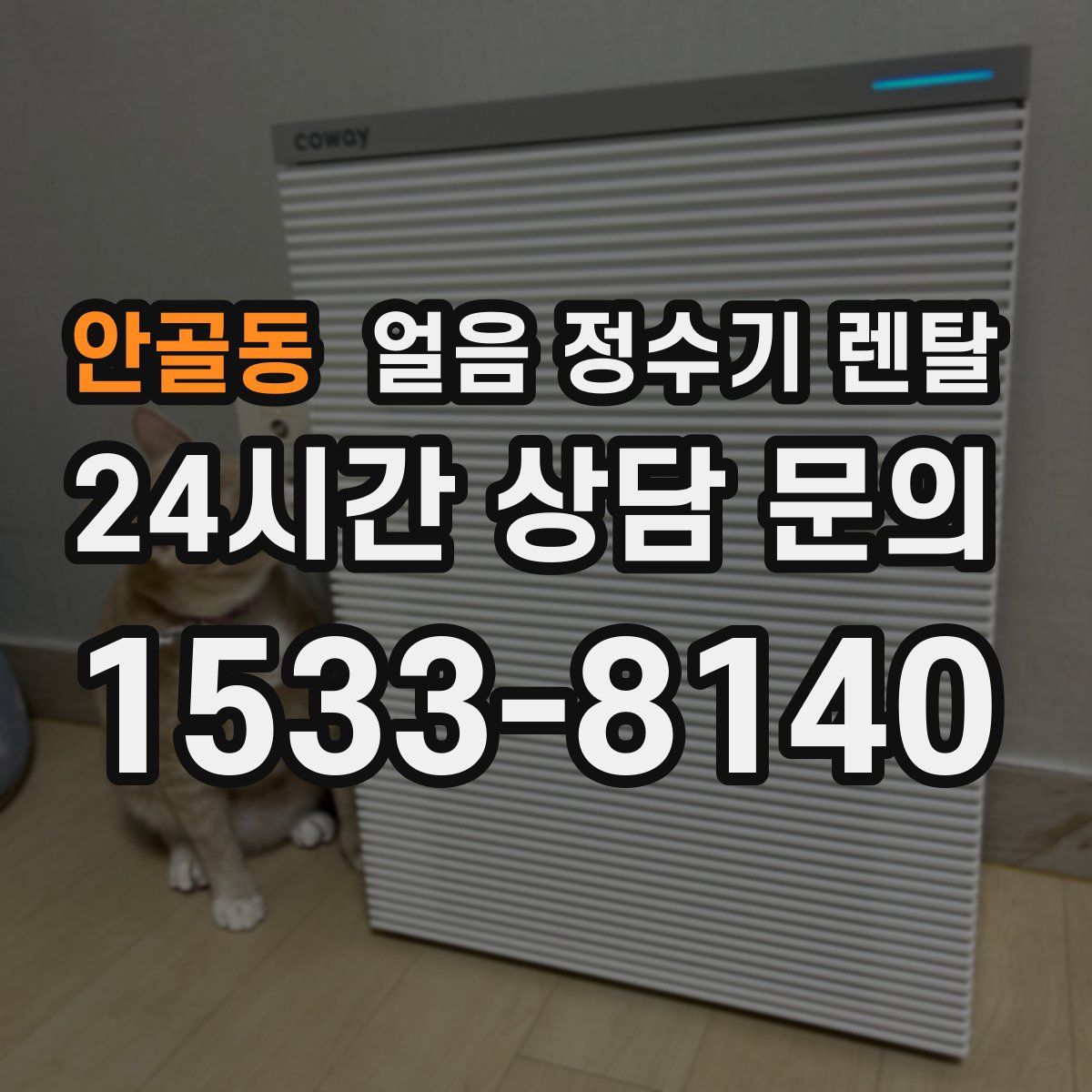안골동 얼음 정수기 렌탈