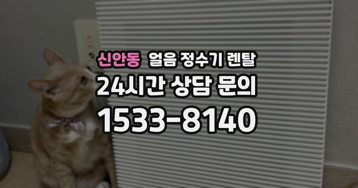 신안동 얼음 정수기 렌탈