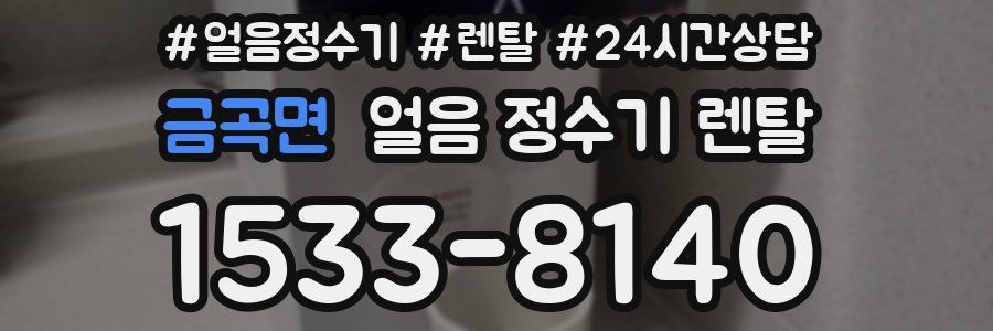 금곡면 얼음 정수기 렌탈