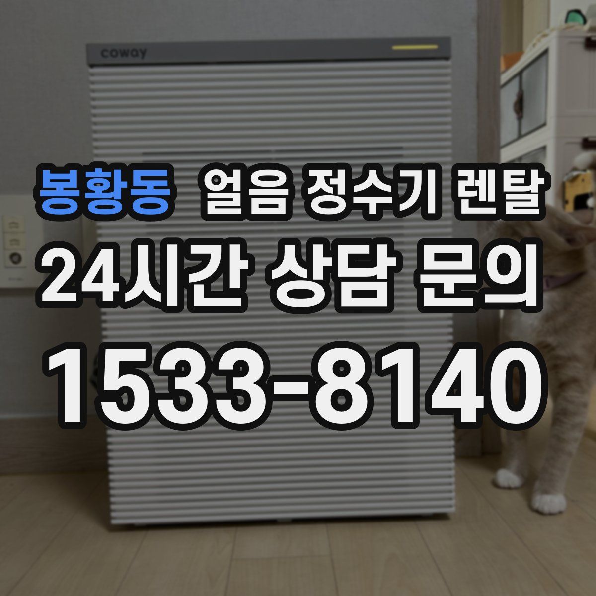 봉황동 얼음 정수기 렌탈