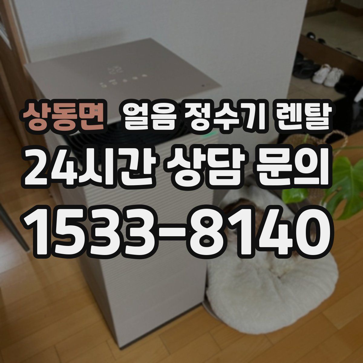 상동면 얼음 정수기 렌탈