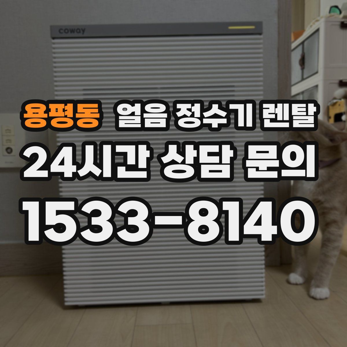 용평동 얼음 정수기 렌탈