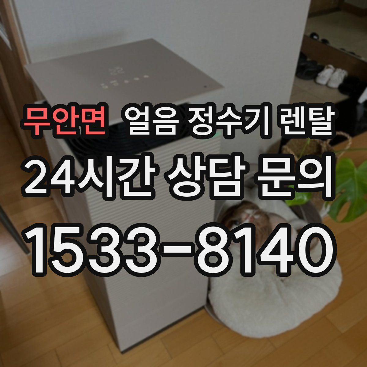 무안면 얼음 정수기 렌탈