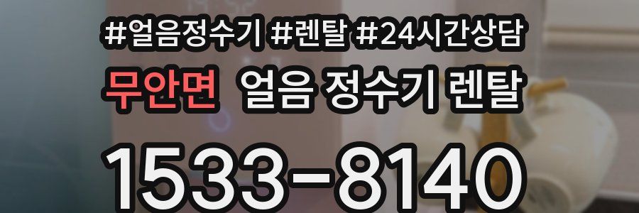 무안면 얼음 정수기 렌탈