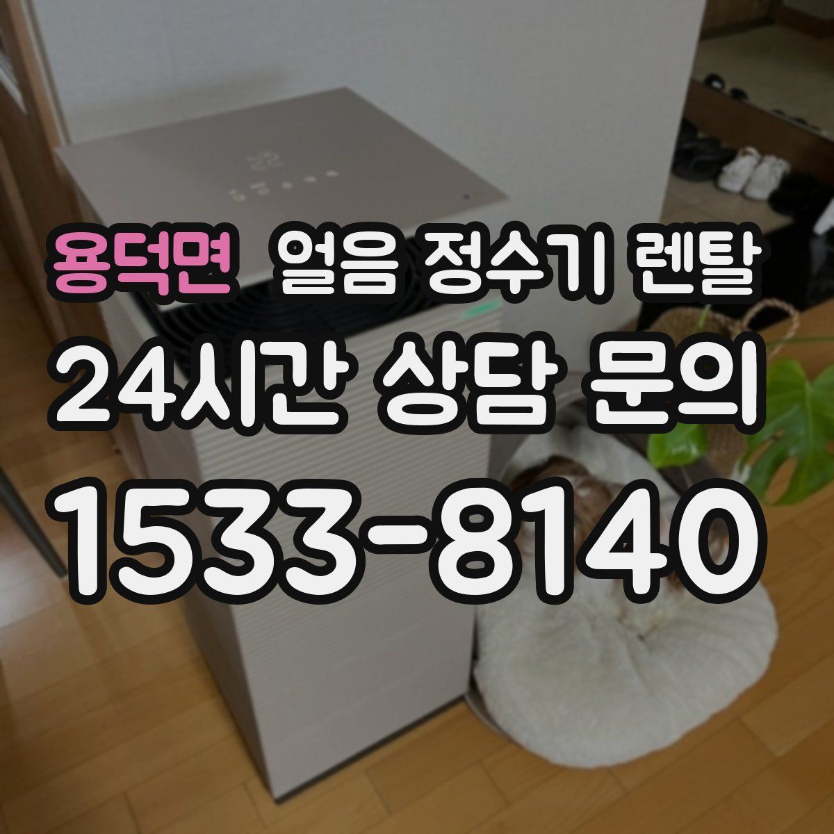 용덕면 얼음 정수기 렌탈