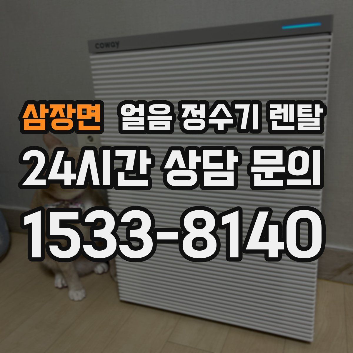 삼장면 얼음 정수기 렌탈