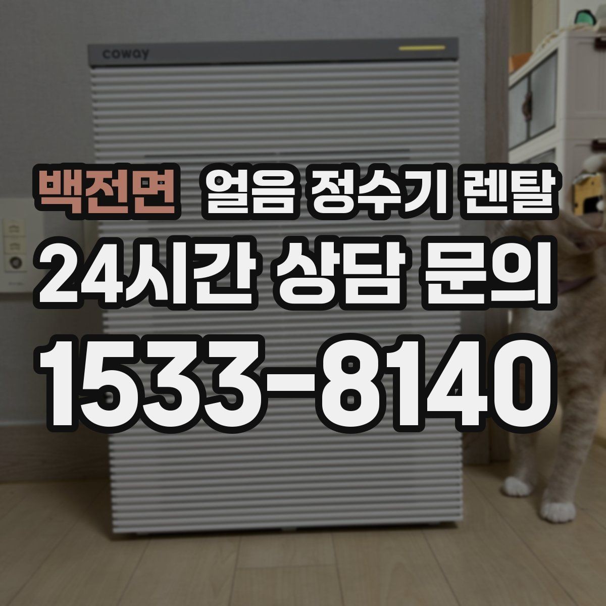 백전면 얼음 정수기 렌탈 청소가 쉬운 구조를 고르는 방법