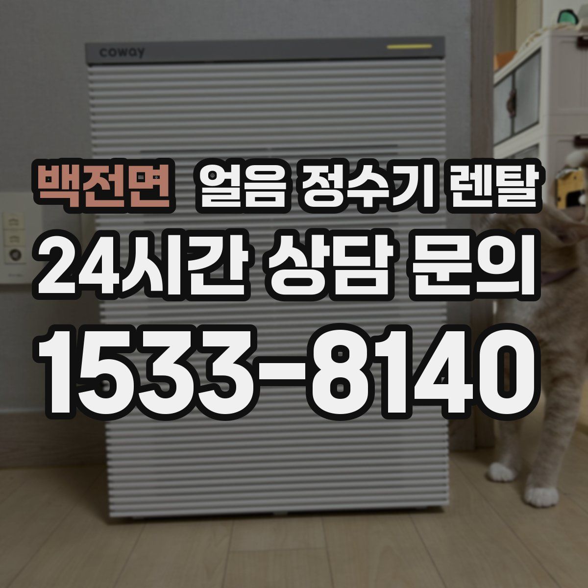 백전면 얼음 정수기 렌탈