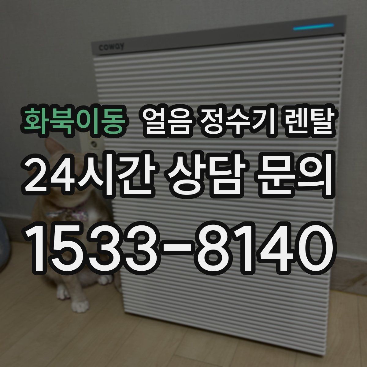 화북이동 얼음 정수기 렌탈 빠른 상담을 위한 주방 사진 포인트
