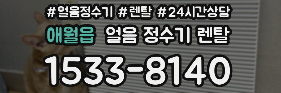 애월읍 얼음 정수기 렌탈