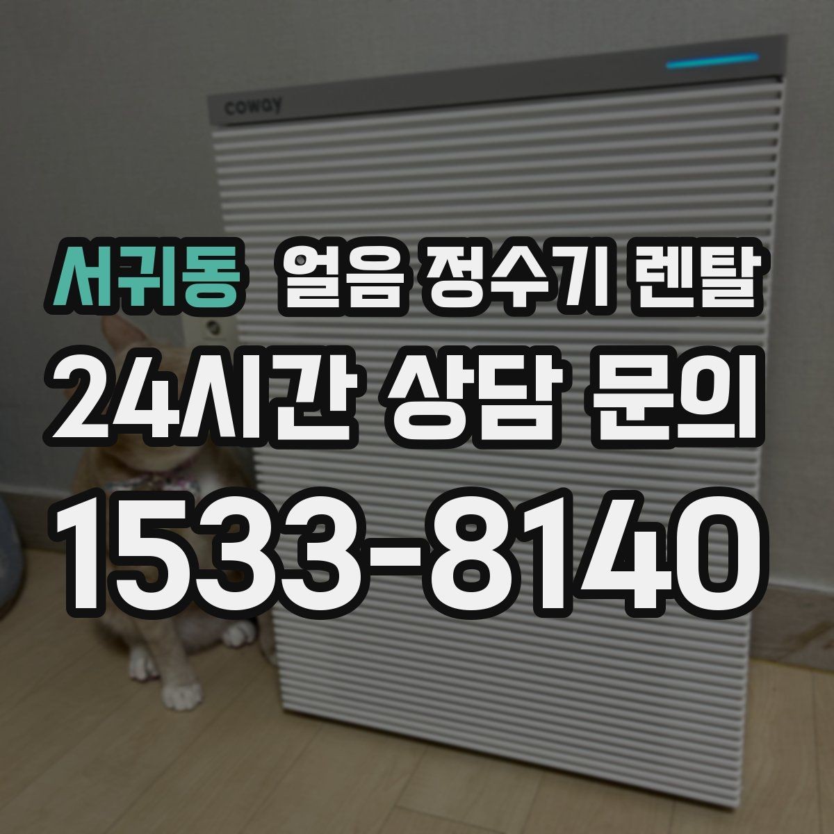 서귀동 얼음 정수기 렌탈 얼음틀 세척이 번거로울 때 해결책