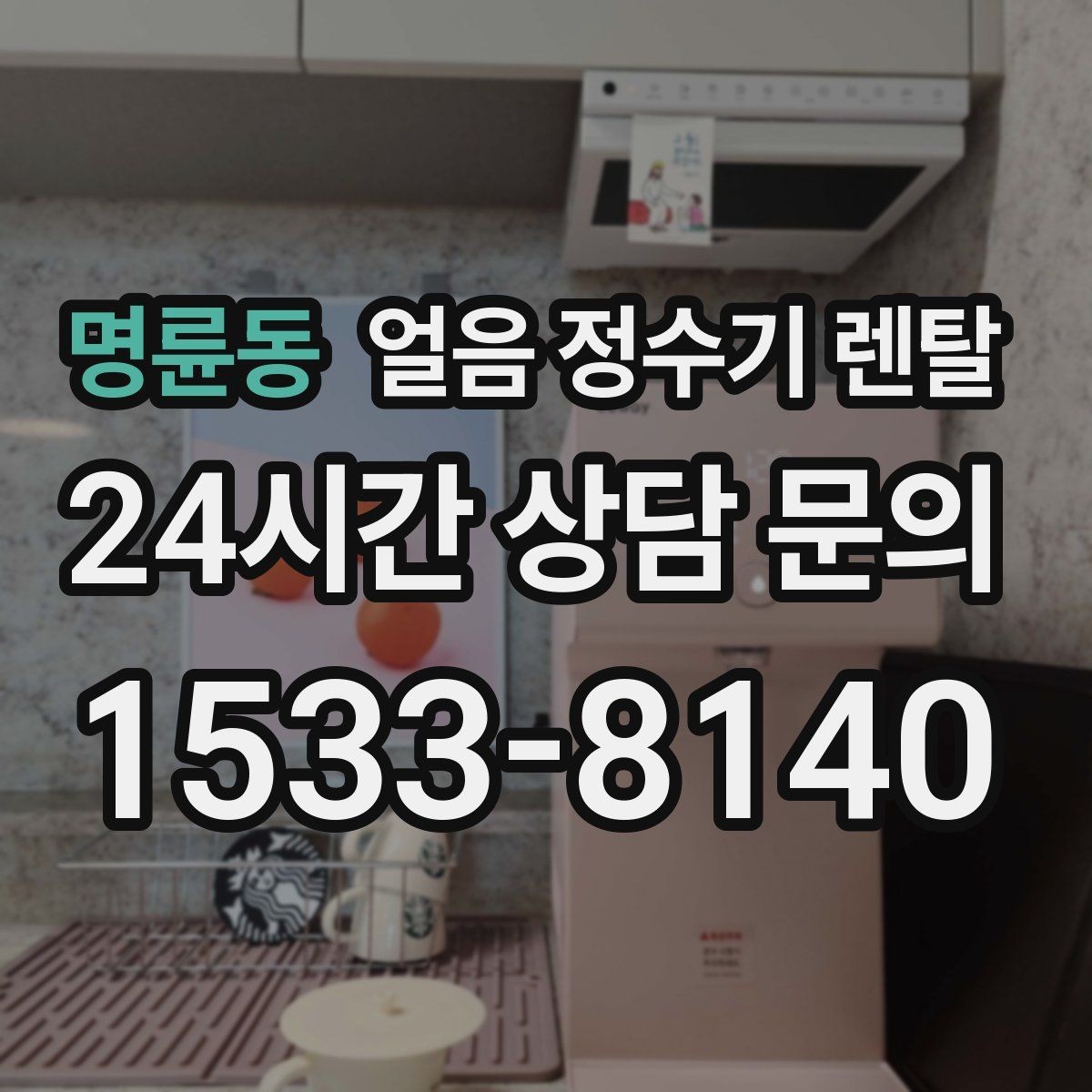 명륜동 얼음 정수기 렌탈 1인 가구에 얼음 정수기가 과할까