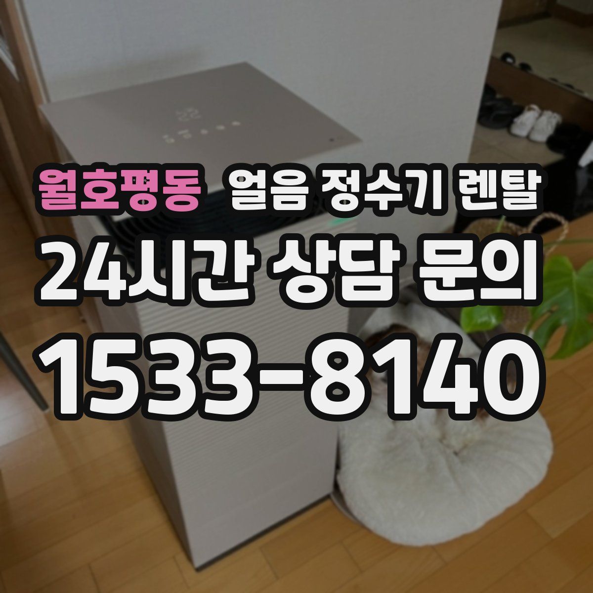 월호평동 얼음 정수기 렌탈