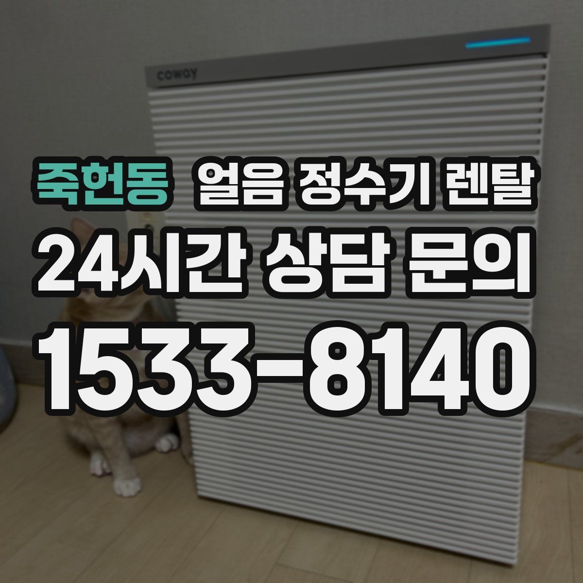죽헌동 얼음 정수기 렌탈