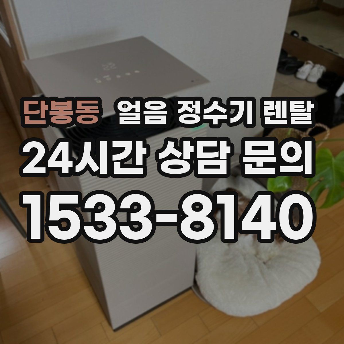 단봉동 얼음 정수기 렌탈 집에서도 얼음이 바로 나오는 편리함