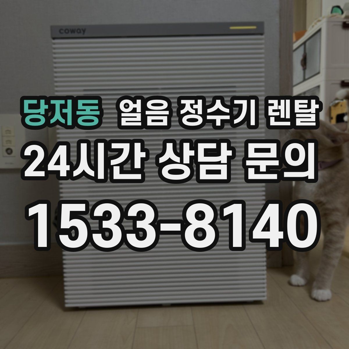당저동 얼음 정수기 렌탈 렌탈 vs 구매, 얼음 기능은 어떤 선택이 유리할까