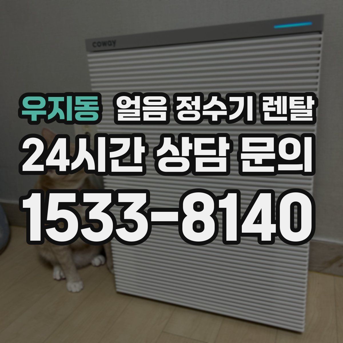 우지동 얼음 정수기 렌탈 얼음 보관 냄새가 싫다면 해결책