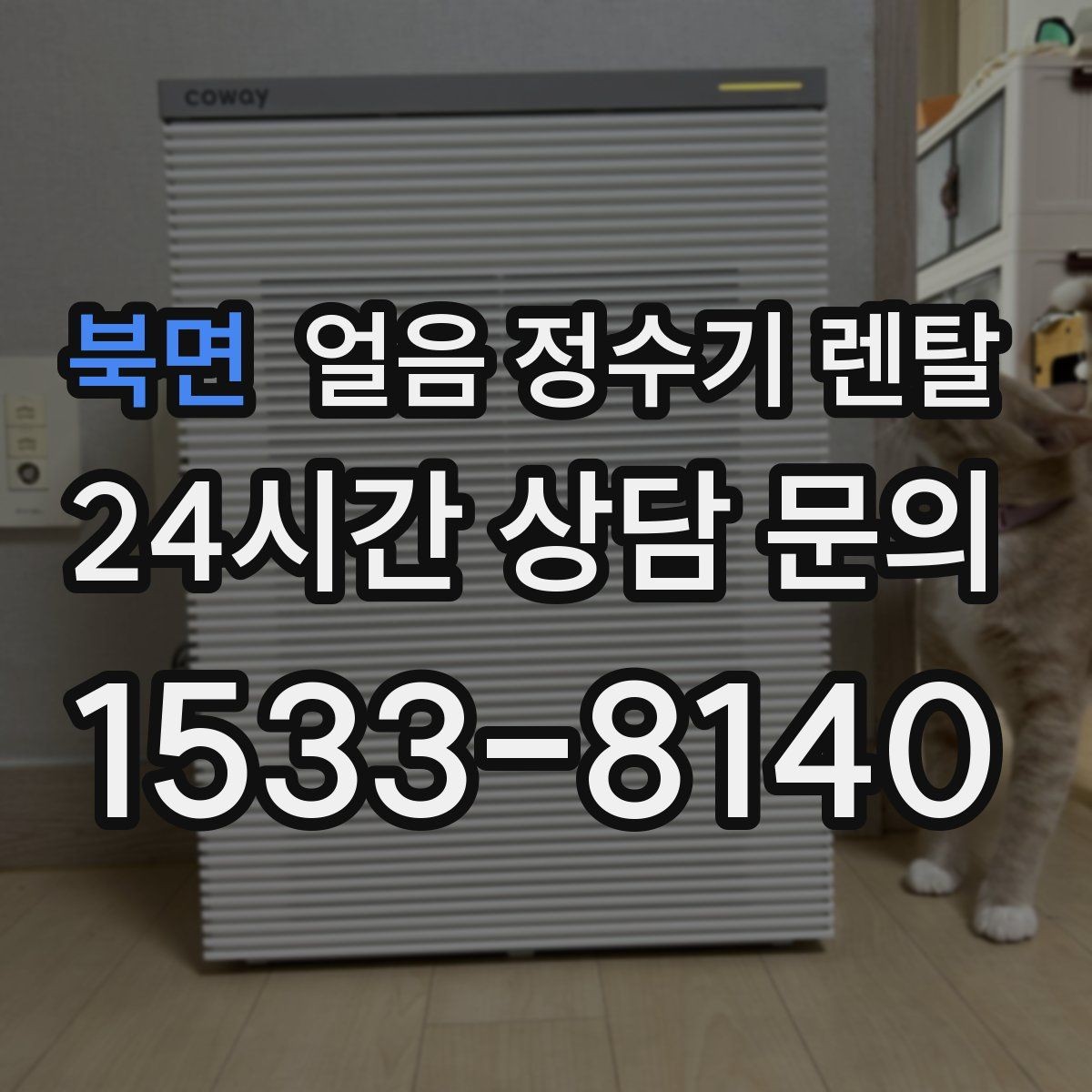 북면 얼음 정수기 렌탈 텀블러에 얼음 받기 좋은 높이 선택