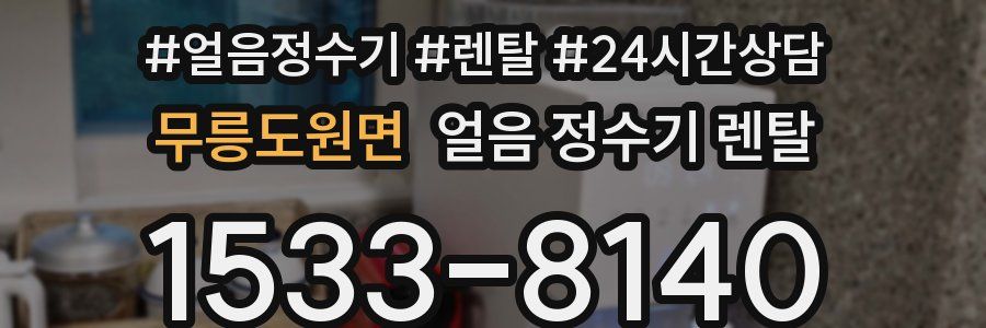 무릉도원면 얼음 정수기 렌탈