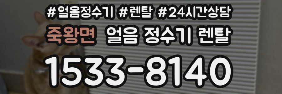 죽왕면 얼음 정수기 렌탈