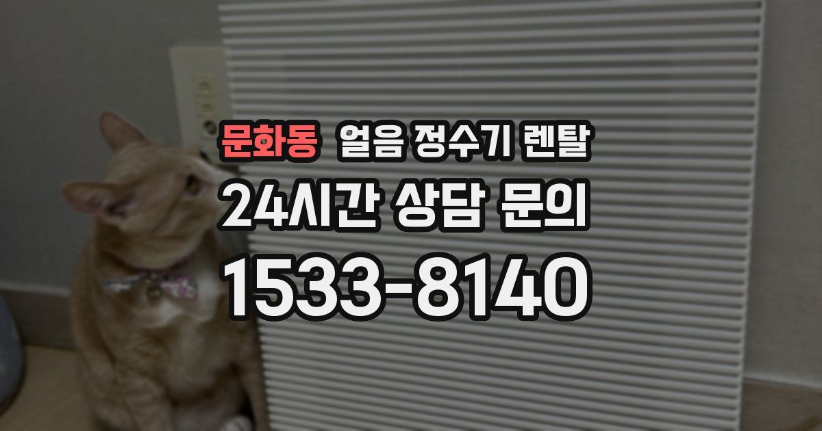 문화동 얼음 정수기 렌탈