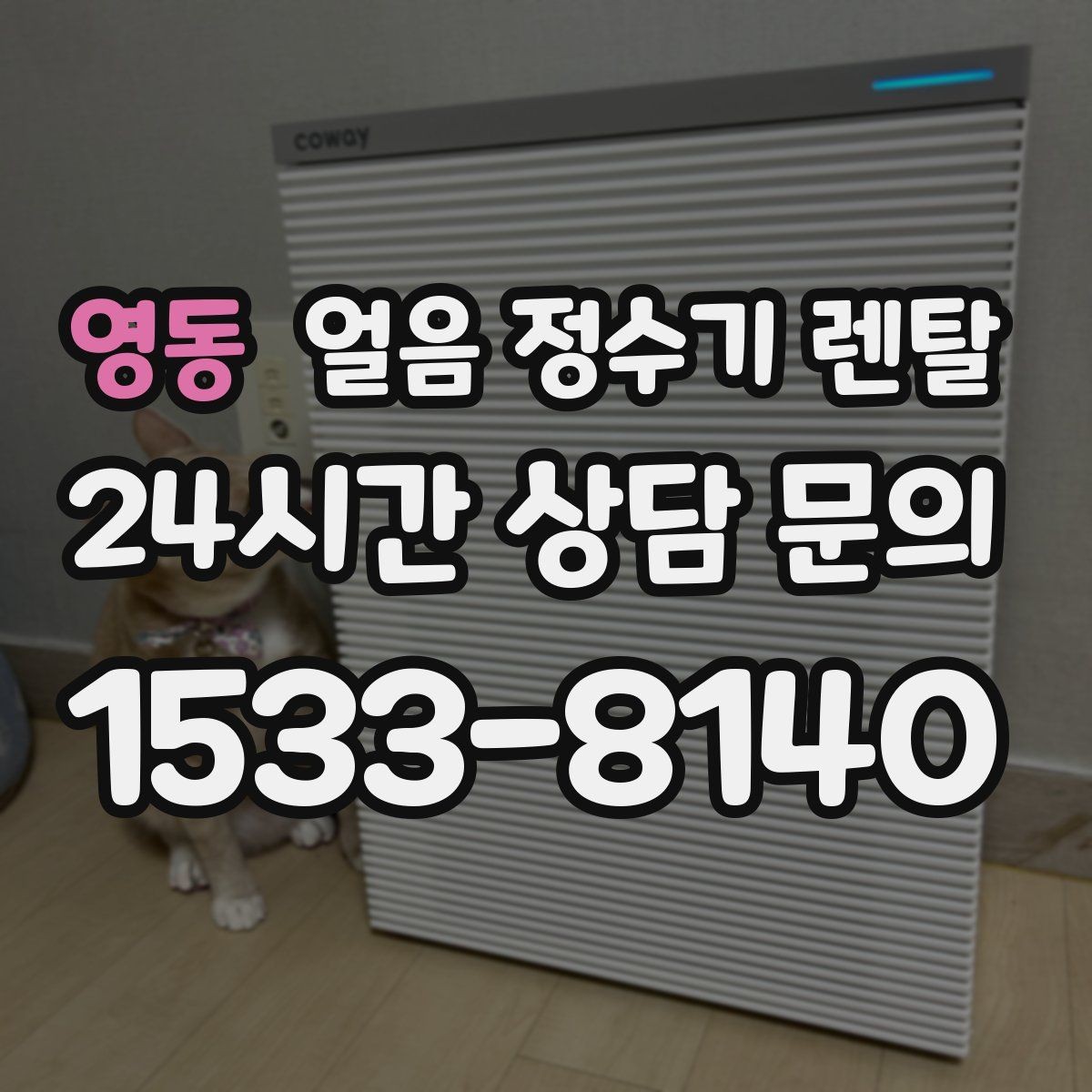 영동 얼음 정수기 렌탈 물맛이 예민하면 어떤 필터를 고를까