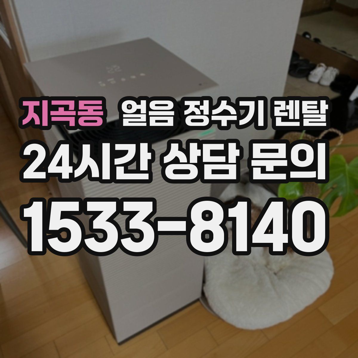 지곡동 얼음 정수기 렌탈