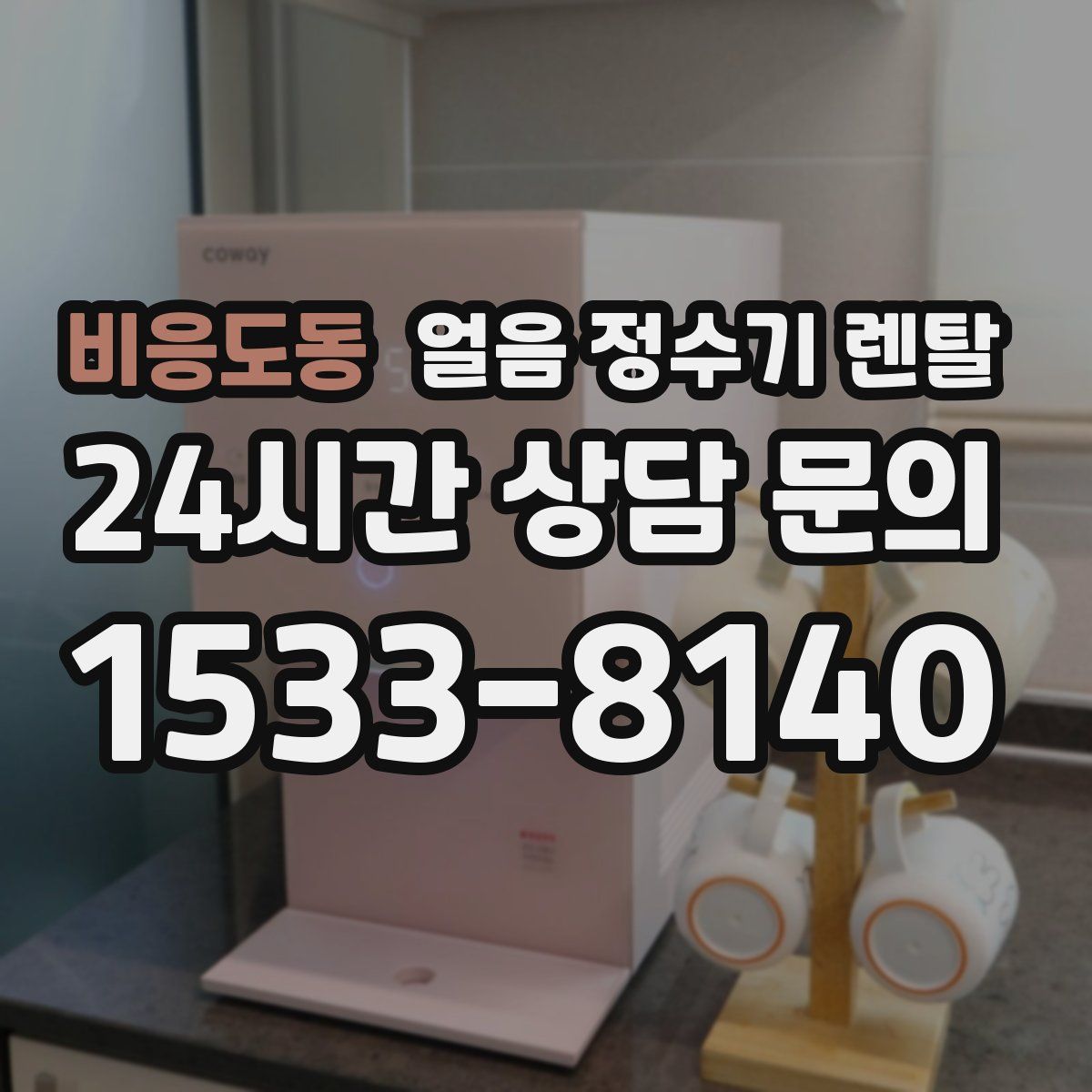 비응도동 얼음 정수기 렌탈